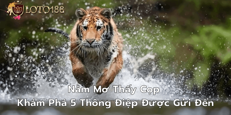 Lý do nằm mơ thấy cọp